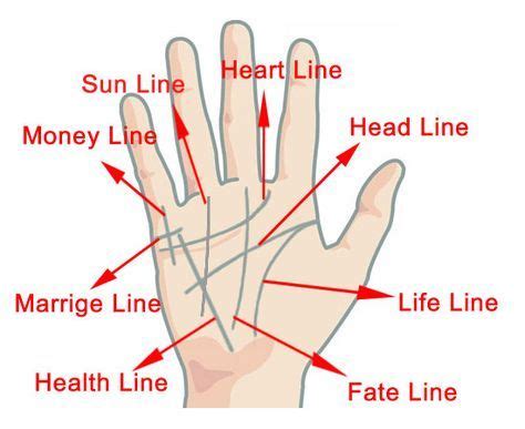 Hand/Finger Fortune telling .